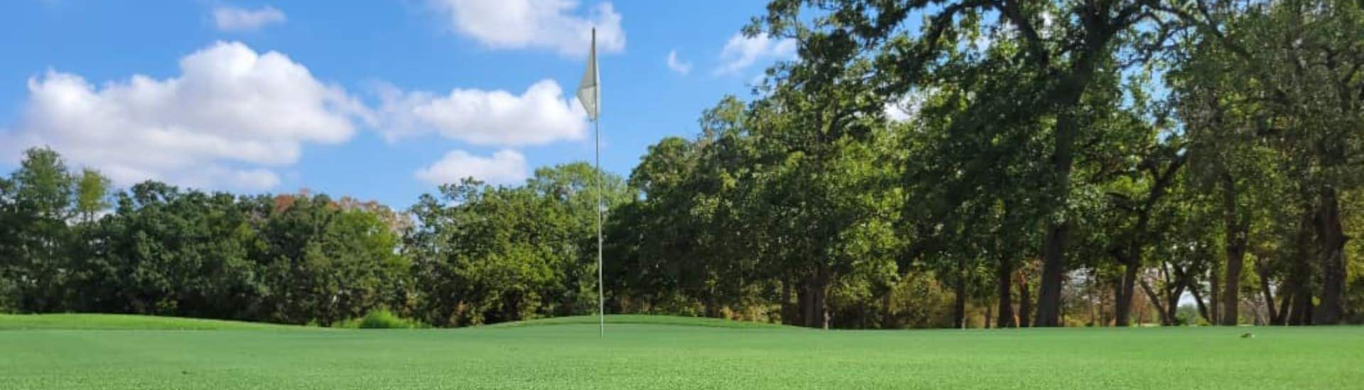 Close up view of a golf green with a flag for the hole with green trees in the background